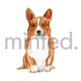 "Corgi" - Design Element in white by Sarah Knight - Design Element