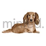 "Dachsund" - Design Element in white by Sarah Knight - Design Element