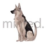 "German Shepherd" - Design Element in white by Baumbirdy - Design Element