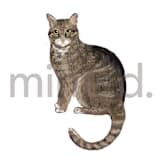 "Brown Tabby Cat" - Design Element in white by Baumbirdy - Design Element