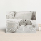 "Flourished" - Birth Announcements in Ice by Everett Paper Goods - Front