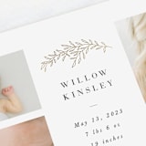 "Delicate Foliage" - Birth Announcements in Onyx by Brandy Folse - Detail