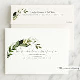 "Vines of Green" - First Holy Communion Invitations in Fern by Susan Moyal - FREE Recipient Addressing