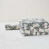 "Illuminated Blooms" - Wrapping Paper Roll in Cobalt by Alethea and Ruth