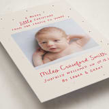 "Little Merry" - Holiday Birth Announcement Cards in Holly Berry by Megan Davis - Detail