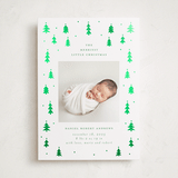 "Merry Little Trees" - Holiday Birth Announcement Cards in Icicle by Jennifer Holbrook - Front