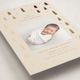 "Merry Little Trees" - Holiday Birth Announcement Cards in Candlelight by Jennifer Holbrook - Detail