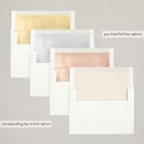 "A Little Shindig" - Party Invitations in Champagne by mo kelley - Envelope Liner Options