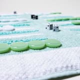 "Mint Outdoor/Travel Backgammon Set (Plastic Pieces)" - Games in green by 3rd Space by SBR