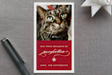 "Purrfection" - Gift Tags in Cranberry by Design Lotus - Front