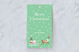 "Christmas Delivery" - Gift Tags in Mint by Chi Hey Lee - Front