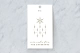 "Snowflake Scatter" - Gift Tags in Medallion by curiouszhi - Front