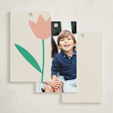 "Cut Paper Floral" - Gift Tags in Bubblegum by Ampersand Design Studio - Back of Tag Options