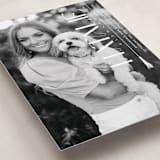 "Colonnade" - Graduation Announcements in Swan by Owl and Toad - Detail