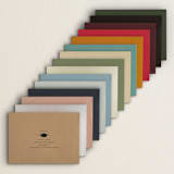 "Modern Curves" - Graduation Announcements in Almond by Morgan Kendall - Colored Envelopes Available