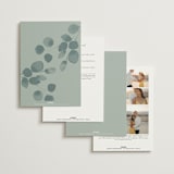 "Silver Dollar Eucalyptus" - Wedding Invitations in Silver Dollar by Shannon Chen of Four Wet Feet Studio - Back of Card Options