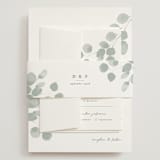 "Silver Dollar Eucalyptus" - Wedding Invitations in Silver Dollar by Shannon Chen of Four Wet Feet Studio - Assembled with Belly Band