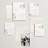 "Silver Dollar Eucalyptus" - Wedding Invitations in Silver Dollar by Shannon Chen of Four Wet Feet Studio - Invitation Suite