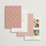 "Ribbonly Frame" - Wedding Invitations in Blush by Itsy Belle Studio - Back of Card Options