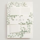 "Vining" - Wedding Invitations in Eucalyptus by Kristie Kern - Assembled with Belly Band