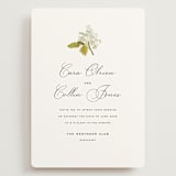 "Limelight" - Wedding Invitations in Linen by Olivia Kanaley Inman - Front
