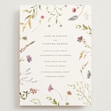 "Untied" - Wedding Invitations in Sherbert by Erin Hodges - Front