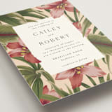 "Tropical Flowers" - Wedding Invitations in Sunrise by Jennifer Holbrook - Detail