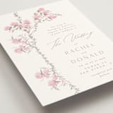 "butter blossoms" - Wedding Invitations in Posie by Phrosné Barwood - Detail