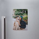 "Tassled T" - Graduation Announcements in Snow by Lauren Chism - Magnet Front
