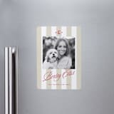 "Bexley" - Graduation Announcements in Parchment by Susan Zinader - Magnet Front