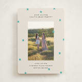 "Tiny Star Confetti" - Graduation Party Invitations in Frost by Kercia Jane - Front