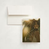 "Gilded Cap" - Graduation Thank You Cards in Cloud by Olivia Goree - Front
