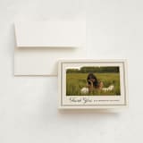 "Timeless Border" - Graduation Thank You Cards in Almond by Brianne Larsen - Front
