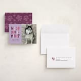 "Woof you be mine?" - Valentine's Day Cards in Lavender by Randi Cirelli - Assembled
