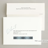 "Script Shalom" - Hanukkah Cards in Frost by Mary Kay Garttmeier - FREE Recipient Addressing