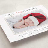 "Merry Scallop" - Holiday Birth Announcement Cards in Holly by Hooray Creative - Detail