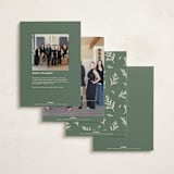 "Pine Border" - Holiday Cards in Eggnog by Erin German - Back of Card Options