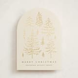 "Spruce Shine" - Holiday Cards in Cream by Amy Kross - Front
