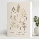 "Spruce Shine" - Holiday Cards in Cream by Amy Kross - Folded Card
