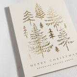 "Spruce Shine" - Holiday Cards in Cream by Amy Kross - Detail