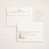 "Spruce Shine" - Holiday Cards in Cream by Amy Kross - FREE Recipient Addressing