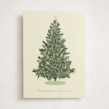 "pastel tree" - Holiday Cards in Chardonnay by Baumbirdy - Front
