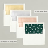 "Colorful Holiday" - Holiday Cards in Frozen by Shari Margolin - Envelope Liners
