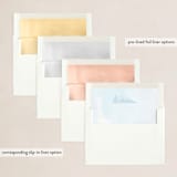 "Awesome View" - Holiday Cards in Sky by Debb W - Envelope Liners