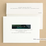 "thank you!" - Holiday Cards in Forest by Summer Winkelman - FREE Recipient Addressing