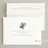 "Juniper Sprig" - Holiday Cards in Putty by Olivia Kanaley Inman - FREE Recipient Addressing