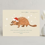 "Best Dam Team" - Holiday Cards in Ivory by Hannah Bowman - Front
