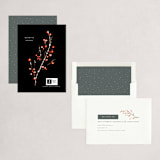 "namagashi" - Holiday Cards in Eclipse by chocomocacino - Assembled