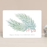 "Soft Pine" - Holiday Cards in Fir by Hooray Creative - Front
