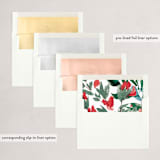 "Holiday Expressions" - Holiday Cards in Aqua by Chris Griffith - Envelope Liners